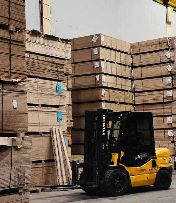 Export cartons on pallets